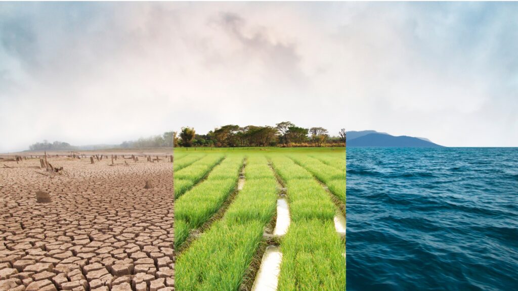 Trois paysages représentant la dégradation environnementale : une terre asséchée, des cultures vertes et l'océan.