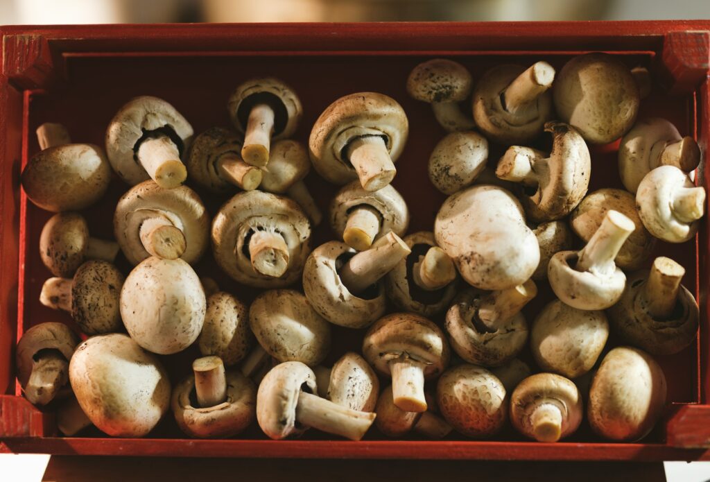 Champignons dans un panier, riches en saveurs mais pas en vitamine B12 assimilable.